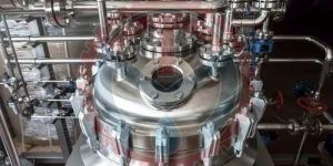 Cucumber Extraction Plant