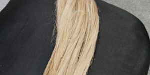 Natural Kenaf Fiber