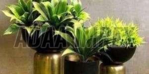 Golden Base Cylindrical Iron Planter Stand