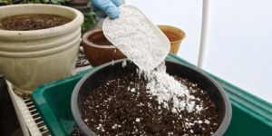 Agricultural Perlite