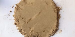 Dehydrated Ginger Powder