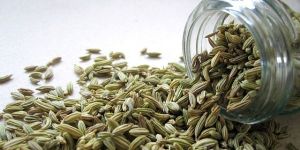 Fennel Seeds