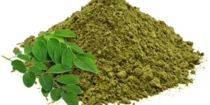 Moringa Powder