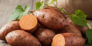 Fresh Sweet Potato