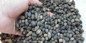 Goat Manure Fertilizer