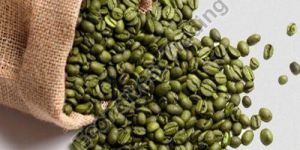 Robusta Green Coffee Beans