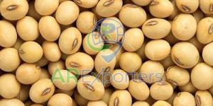 Fresh Soyabean Seed