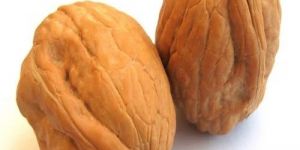 Walnuts
