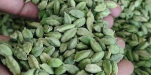 Green Cardamom