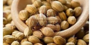 Coriander Seeds