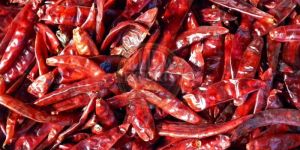 Dried Red Chilli