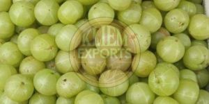 Fresh Gooseberry