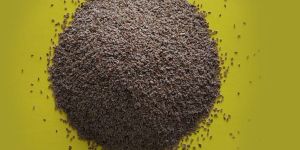 Psyllium Seeds