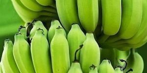 a Grade Green Banana