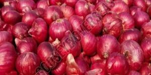 Onions