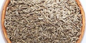 European Quality Cumin Seeds