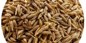 Singapore Quality Cumin Seeds