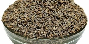 Organic Cumin Seeds