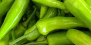 Green Chilli