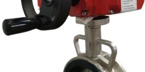 Inflatable Seated Electrical Butterfly Valve