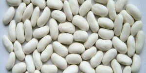 White Navy Beans