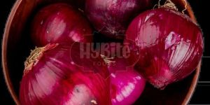 a Grade Fresh Pink Onion