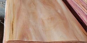 Core Veneer Plywood