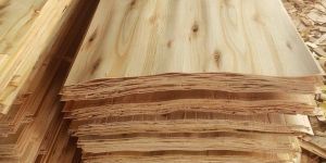 Eucalyptus Core Veneer