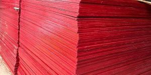 Shuttering Plywood