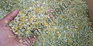 Dried Chamomile Flower