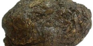 Bee Propolis