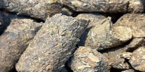 Agro Waste Pellets
