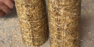 Mustard Stalk Briquette