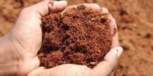 High EC Coco Peat Powder