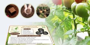Low EC Coco Peat Block (5 Kgs)