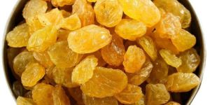 Dried Golden Raisins