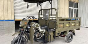 2024 new 1200w electric cargo heavy duty 3-wheel tricycles