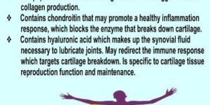 T-joint Pain Relief Drugs