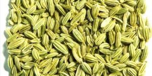 a Grade Fennel Seeds