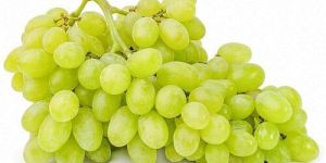 a Grade Fresh Green Grapes