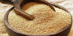 Amaranth Millet Seeds
