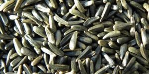 Niger Seeds