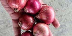 a Grade Red Onion