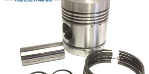 Saskia Piston Assembly Lister Type