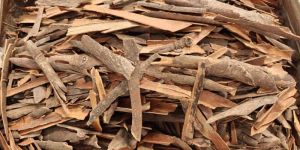 Cinnamon