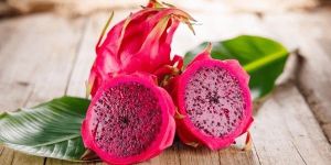 Fresh Dragon Fruit