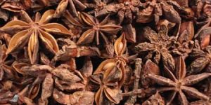 Star Anise