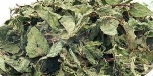 Dried Whole Mint Leaves