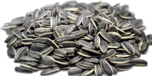 Natural Sunflower Seeds