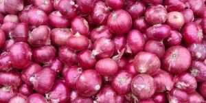 Red A Grade Fresh Onion